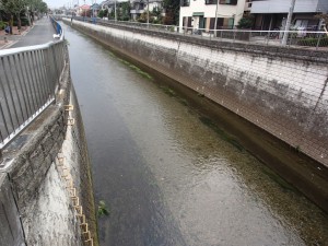 PA091042