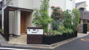 植栽も針金を外壁に張りました