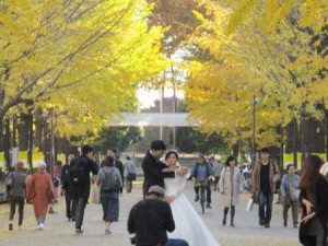 新郎新婦が記念撮影ですが、モデルような気が・・・