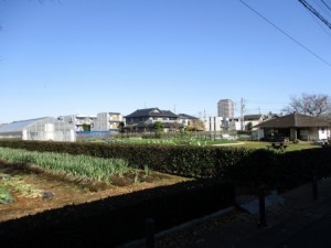 練馬区農の学校