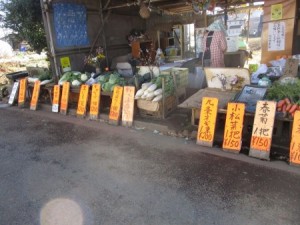 沢山並んでいました