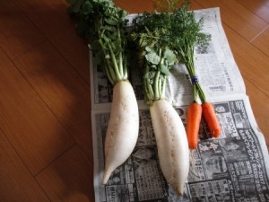 買った新鮮野菜たち