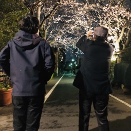 19年3月29日 練馬 中村橋駅の新築戸建専門 情報サイト